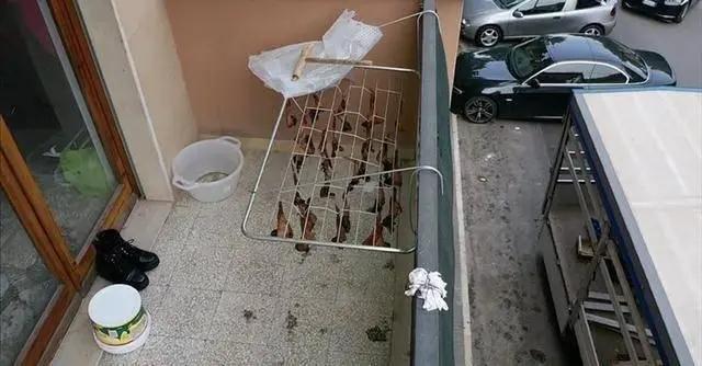 華人陽臺曬雞翅被看成曬蝙蝠，意大利人報警了，市長都來圍觀······